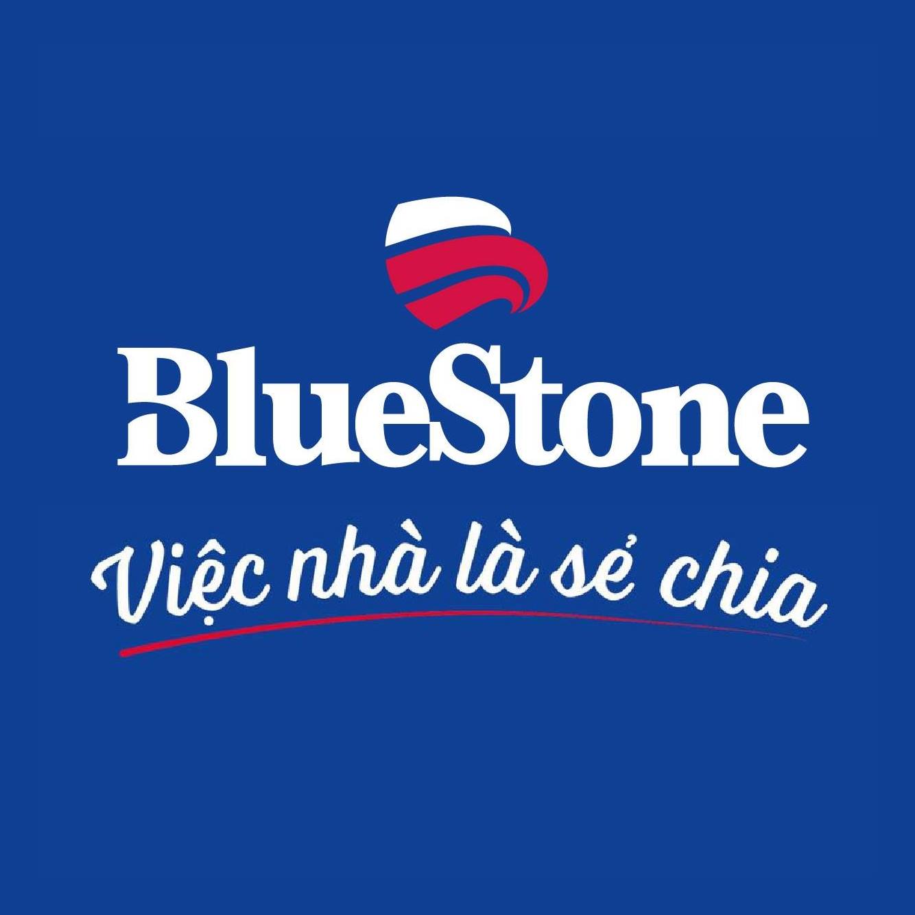 [HCM] Thương Hiệu BlueStone Tuyển Dụng Thực Tập Sinh Phân Tích Dữ Liệu